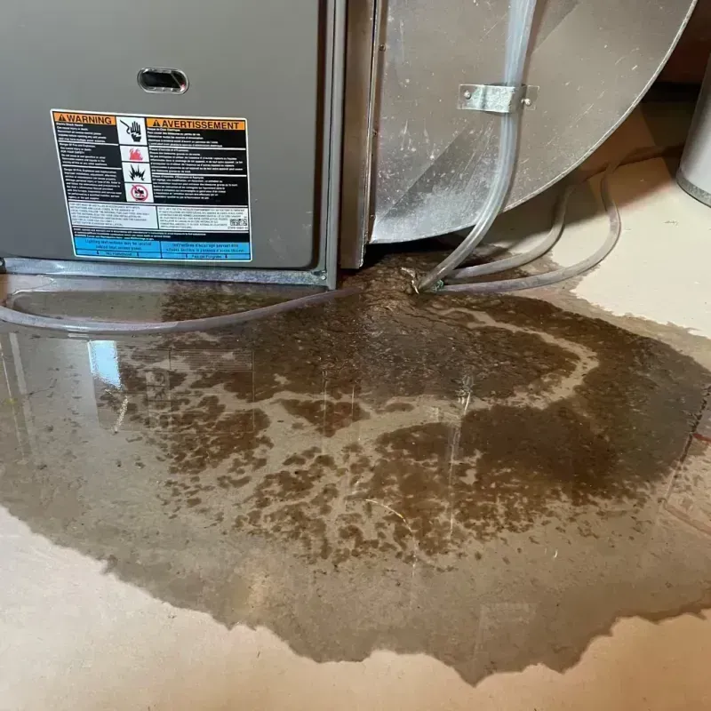 Appliance Leak Cleanup in Chester, IL